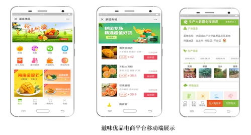 智慧農(nóng)業(yè)新篇章 1.28億元數(shù)字化服務(wù)，守護(hù)農(nóng)產(chǎn)品安全生命線